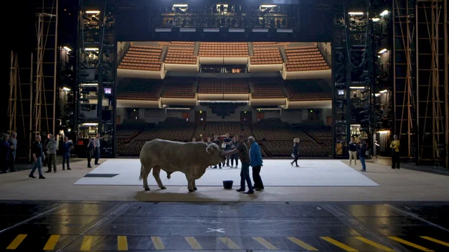Photo 5 du film : L'Opéra