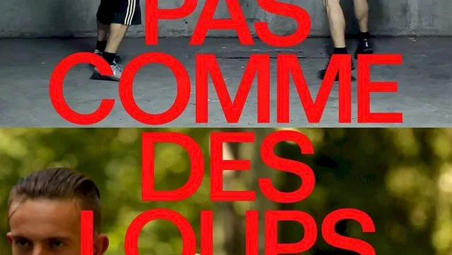 Affiche du film : Pas comme des loups