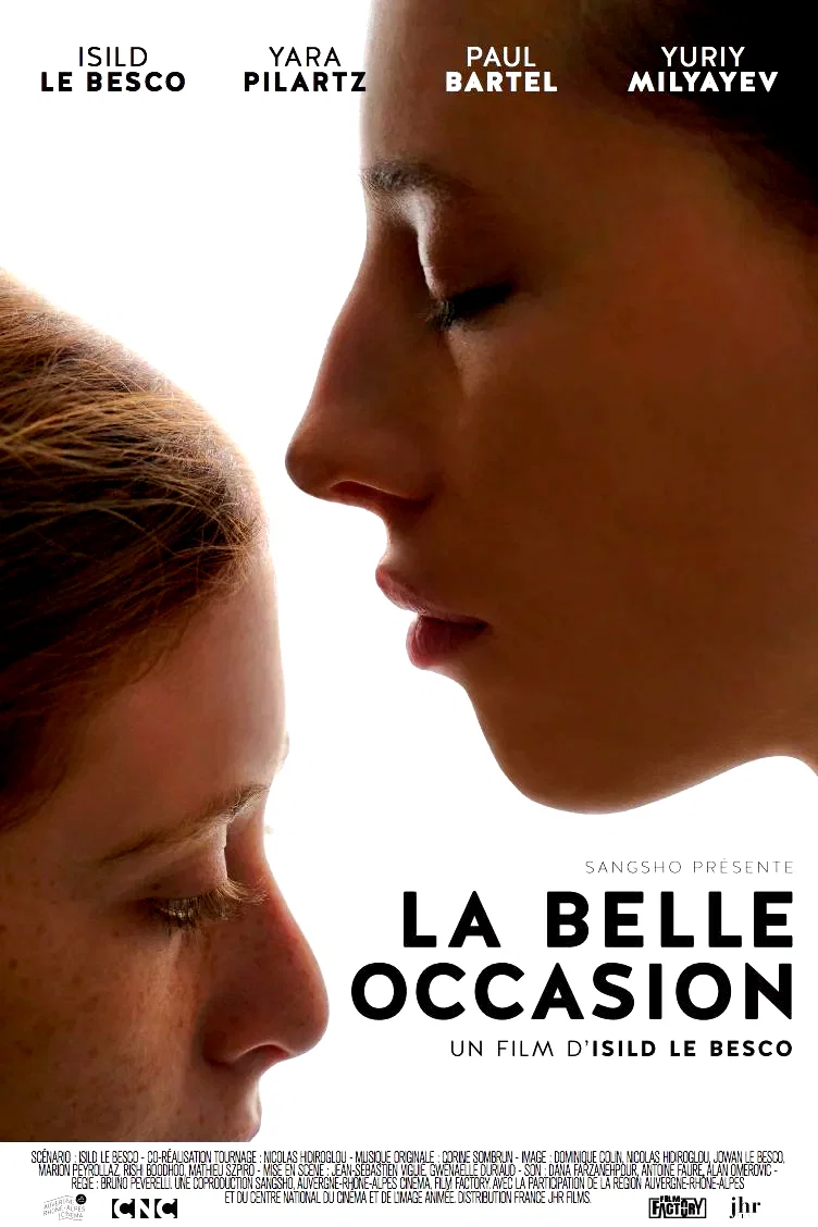 Affiche du film : La belle occasion
