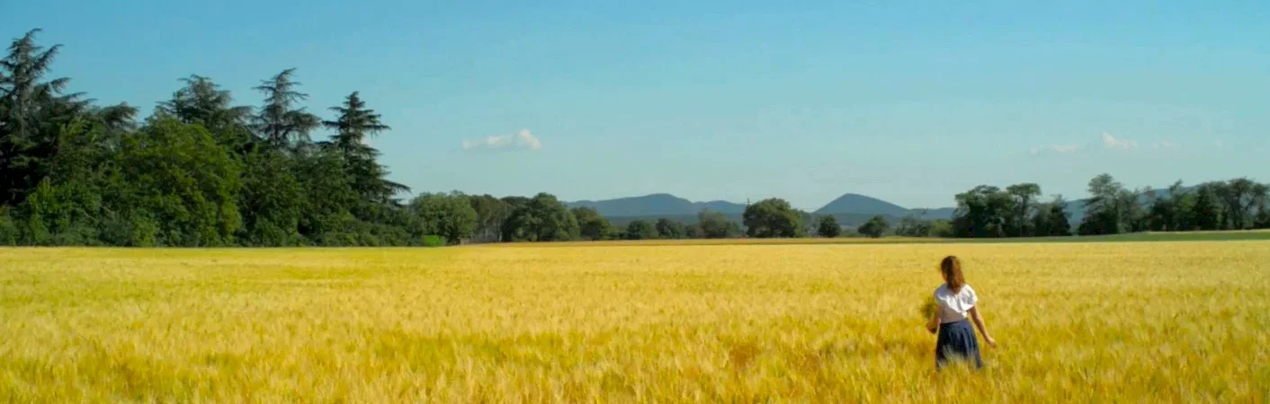 Photo 2 du film : La belle occasion
