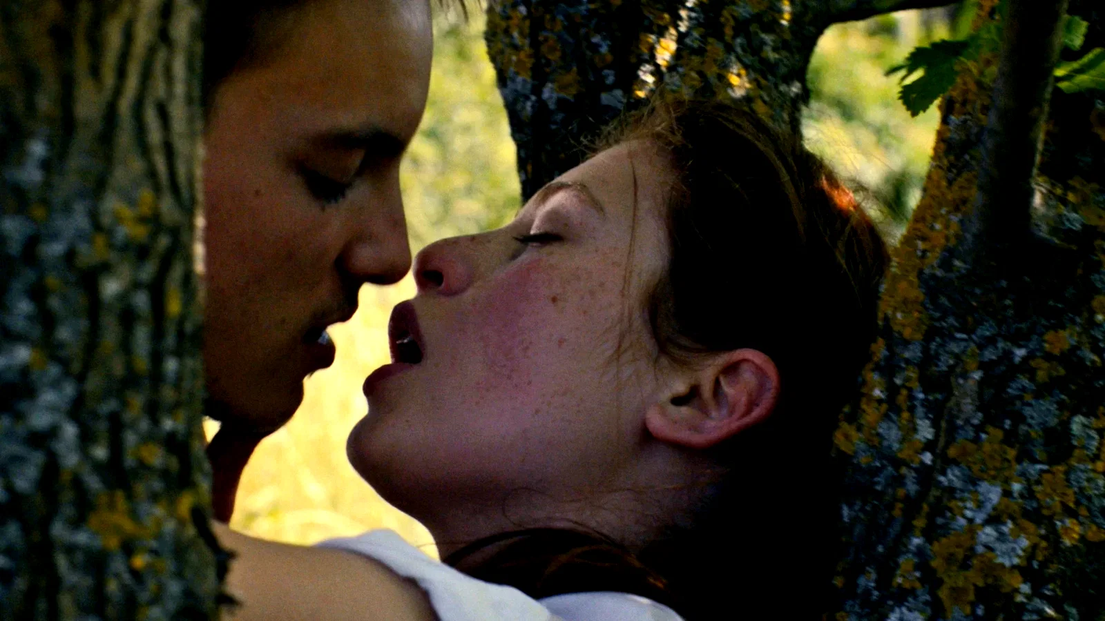 Photo 6 du film : La belle occasion