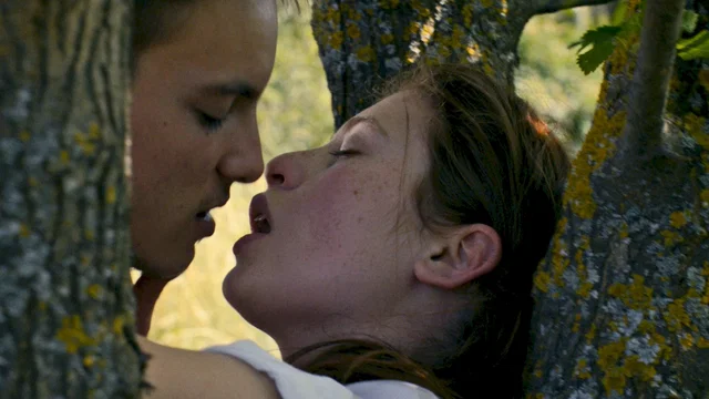 Photo 6 du film : La belle occasion