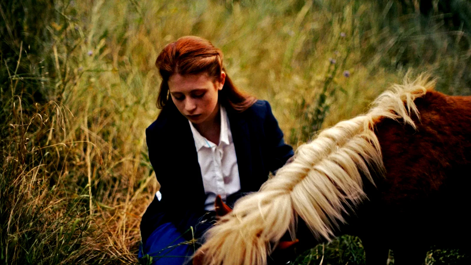 Photo 7 du film : La belle occasion