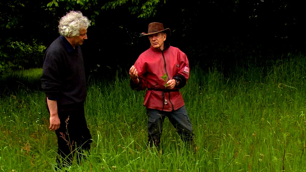 Photo du film : Gilles Clément, le jardin en mouvement
