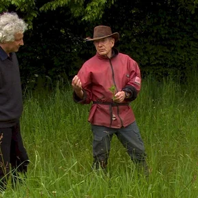 Photo du film : Gilles Clément, le jardin en mouvement