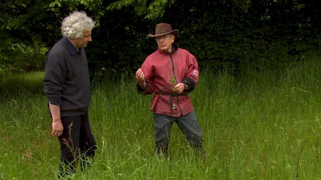 Photo 2 du film : Gilles Clément, le jardin en mouvement