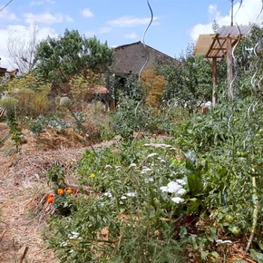Photo du film : L'éveil de la permaculture