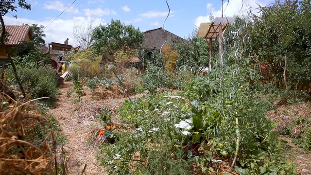Affiche du film : L'éveil de la permaculture
