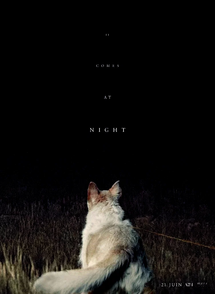 Affiche du film : It Comes At Night