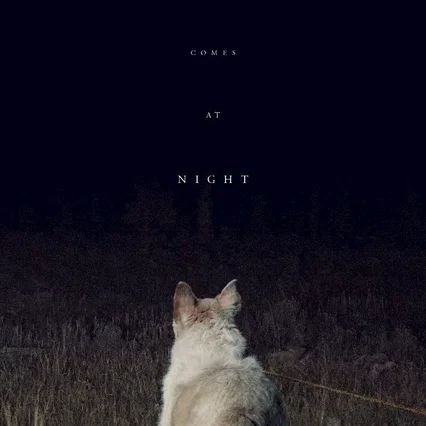 Miniature photo du film : It Comes At Night