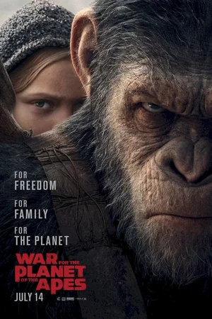 Photo 1 du film : La planète des singes - Suprématie