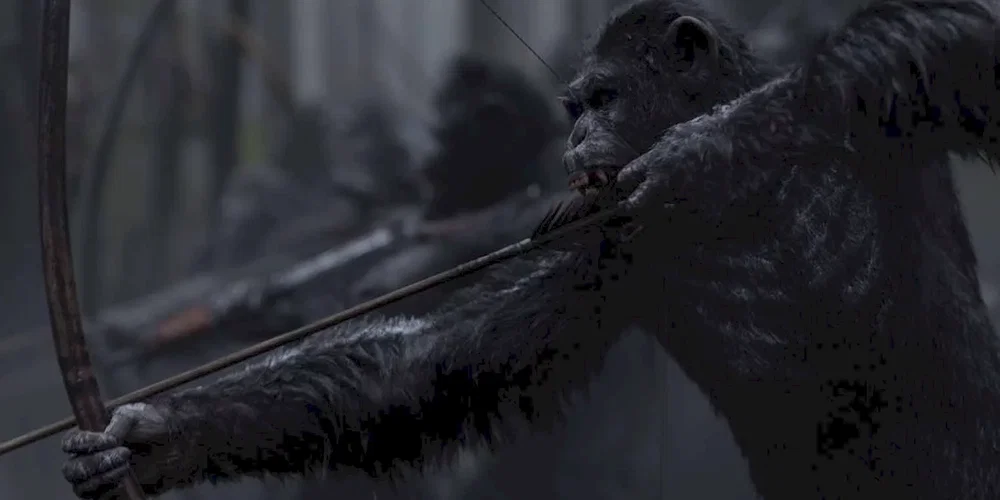 Photo 3 du film : La planète des singes - Suprématie