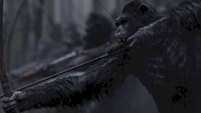 Affiche du film : La planète des singes - Suprématie