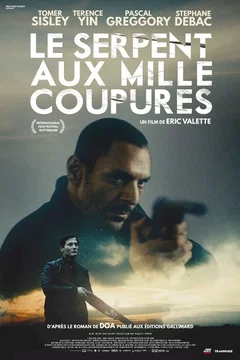 Affiche du film Le serpent aux mille coupures