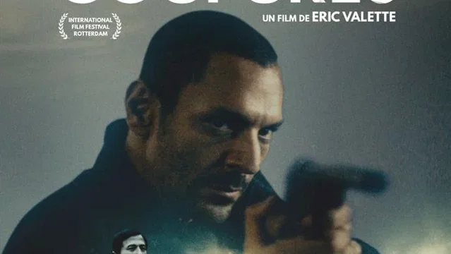 Affiche du film : Le serpent aux mille coupures