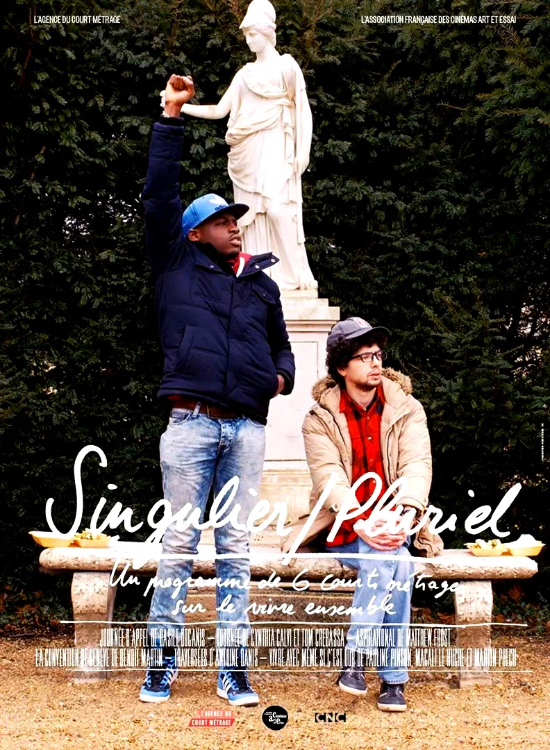 Affiche du film : Singulier / Pluriel