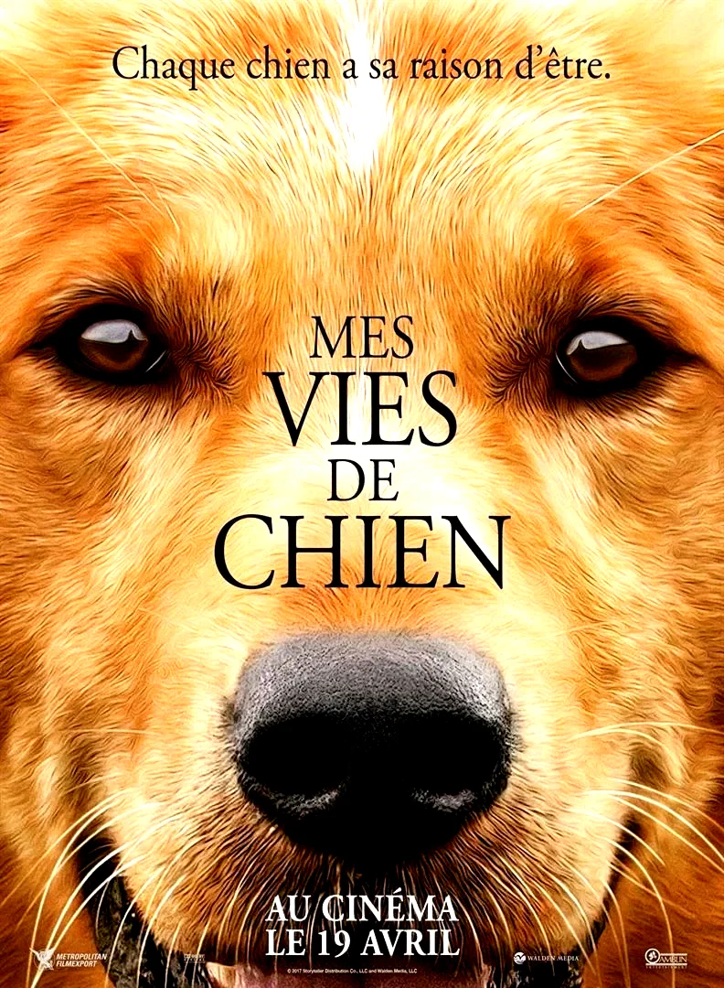 Affiche du film : Mes vies de chien