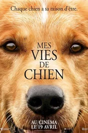 Affiche du film : Mes vies de chien