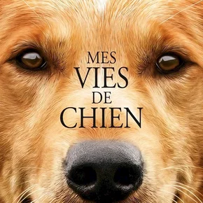 Photo du film : Mes vies de chien