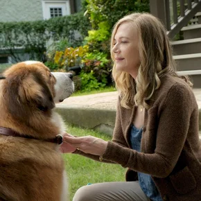 Photo du film : Mes vies de chien