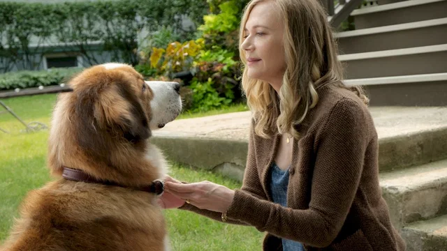 Affiche du film : Mes vies de chien