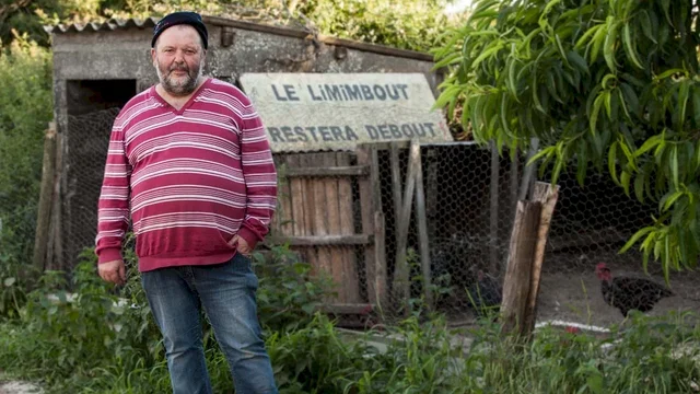 Affiche du film : Les pieds sur terre