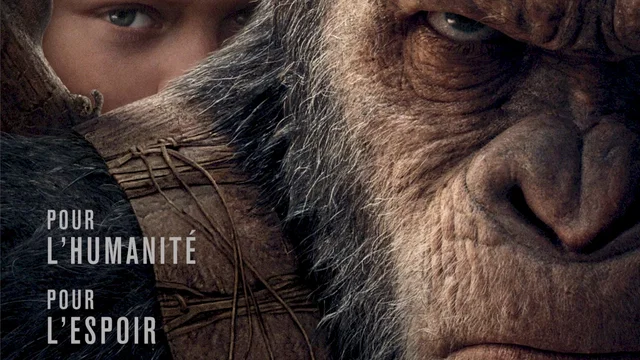 Affiche du film : La planète des singes - Suprématie