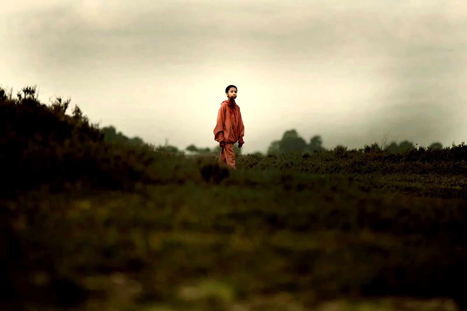 Photo 2 du film : The Last Girl : celle qui a tous les dons
