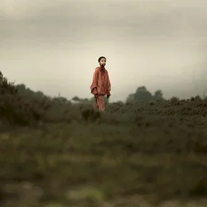 Photo du film : The Last Girl : celle qui a tous les dons