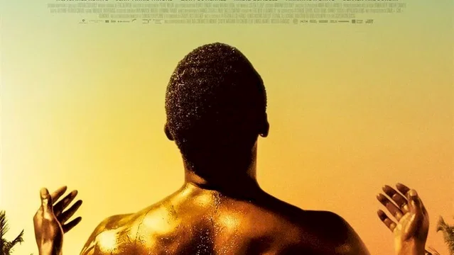 Affiche du film : Wulu