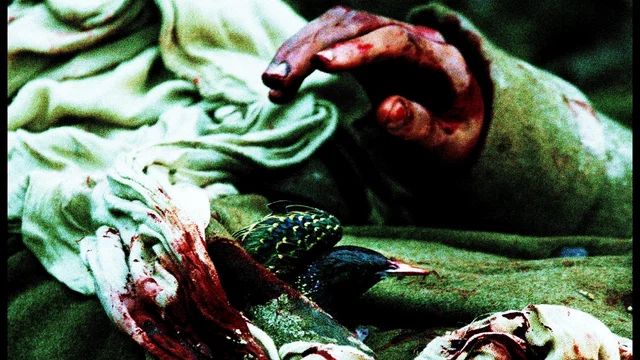Photo du film : Les hommes d'argile