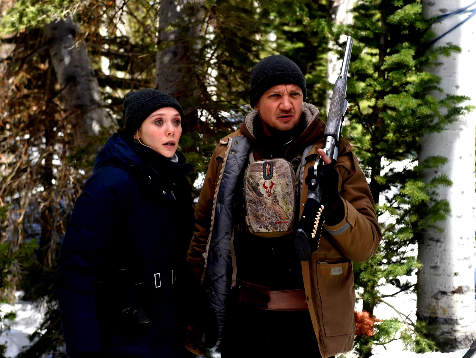 Affiche du film : Wind River