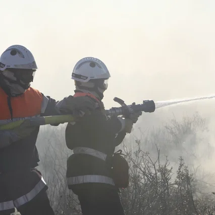 Miniature photo du film : Les hommes du feu