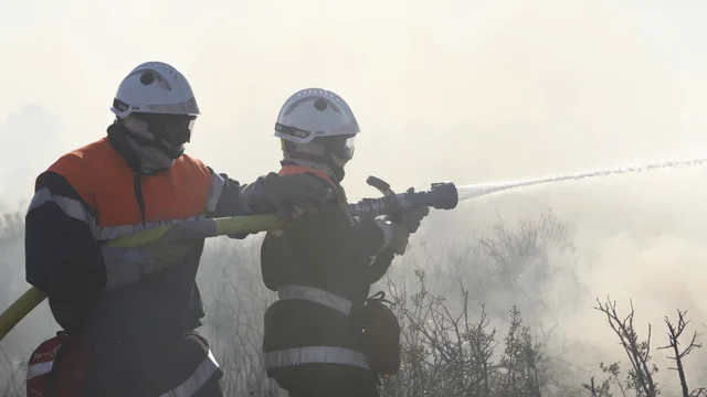 Photo 11 du film : Les hommes du feu