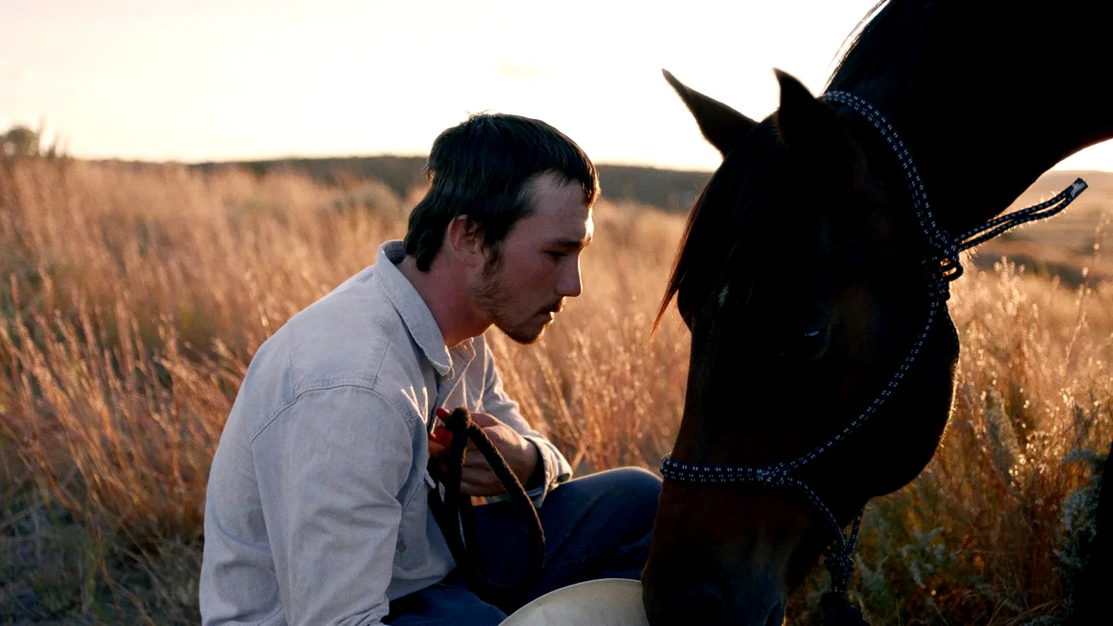 Photo 2 du film : The Rider
