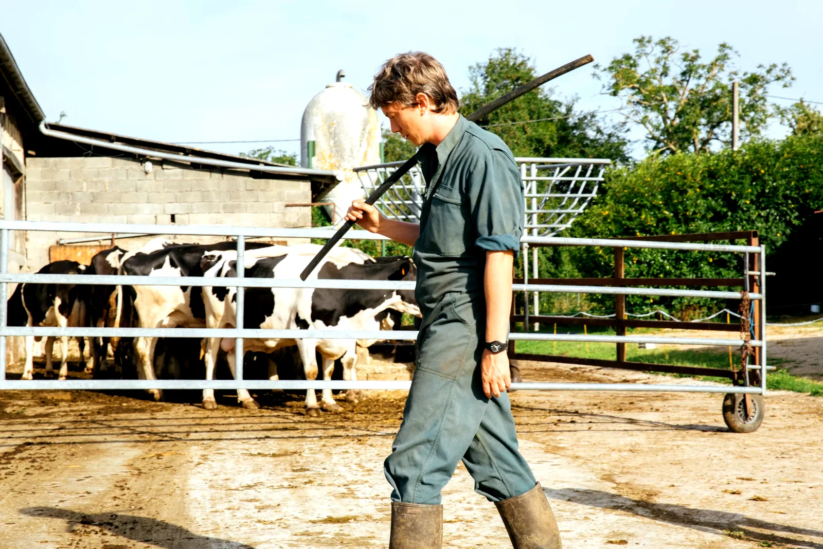 Photo 2 du film : Petit paysan