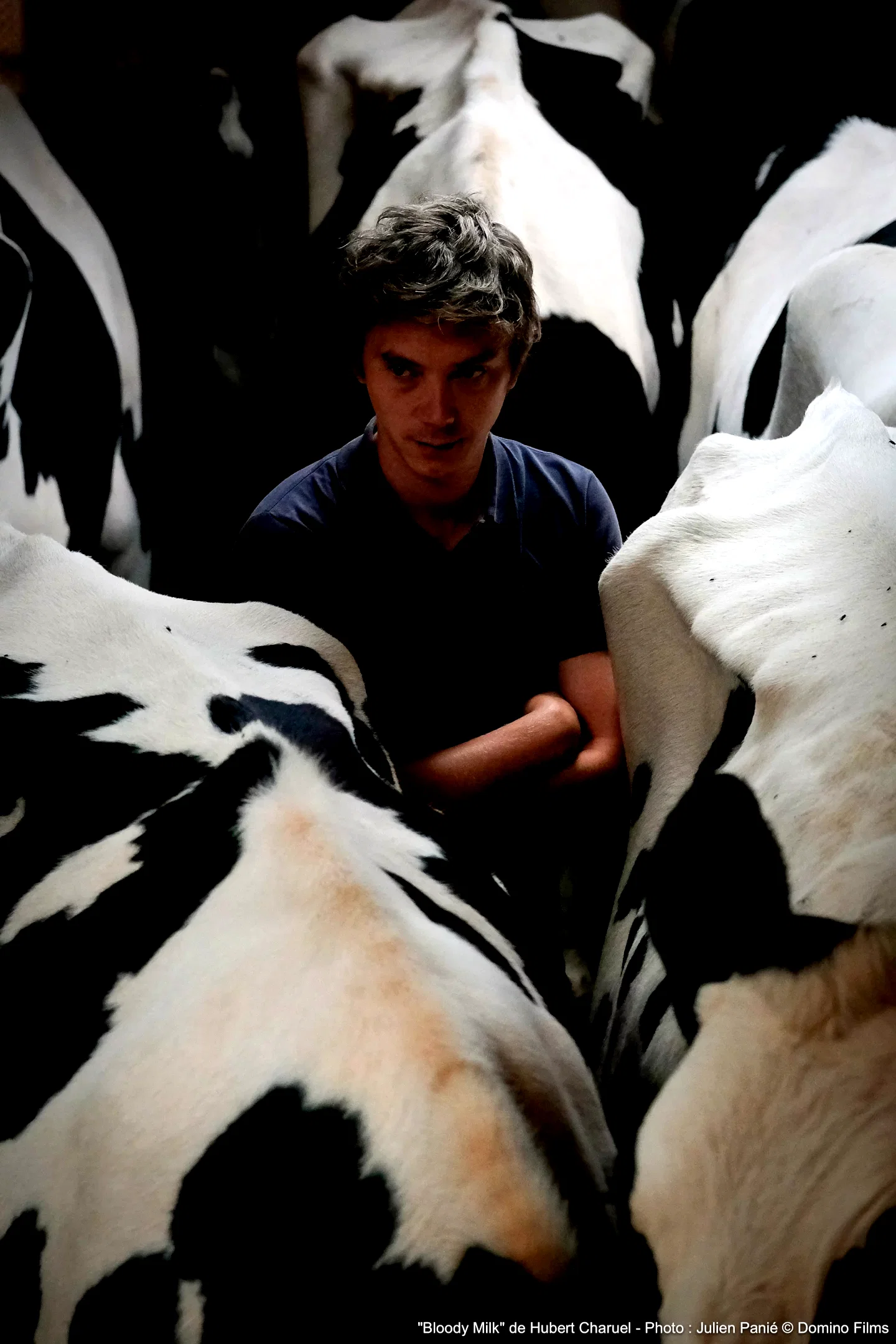 Photo 5 du film : Petit paysan