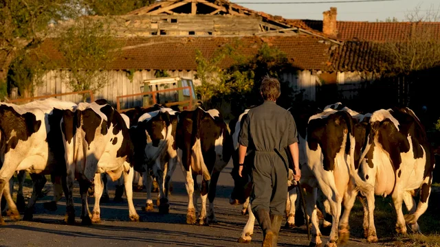 Photo 9 du film : Petit paysan