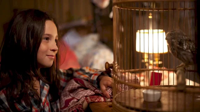 Photo 1 du film : Demain et tous les autres jours