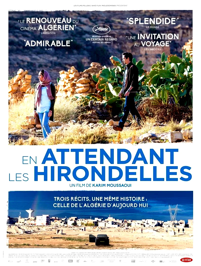 Affiche du film : En attendant les hirondelles