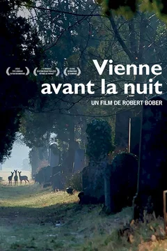 Affiche du film = Vienne avant la nuit