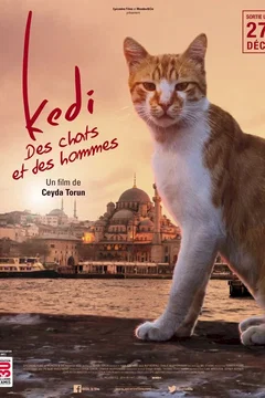 Affiche du film = Kedi : des chats et des hommes