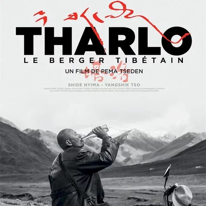 Miniature photo du film : Tharlo, le berger tibétain