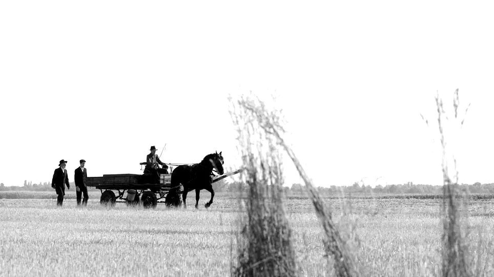 Photo 1 du film : La Juste Route