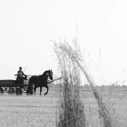 Miniature photo du film : La Juste Route