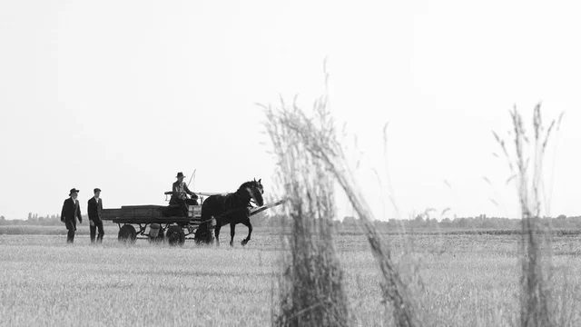 Photo 1 du film : La Juste Route