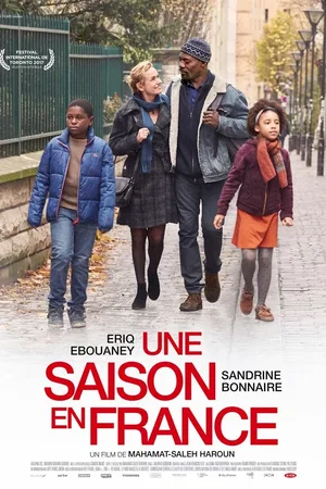 Affiche du film : Une saison en France