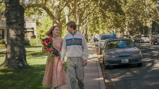 Affiche du film : Lady Bird