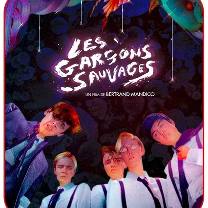 Miniature photo du film : Les Garçons sauvages