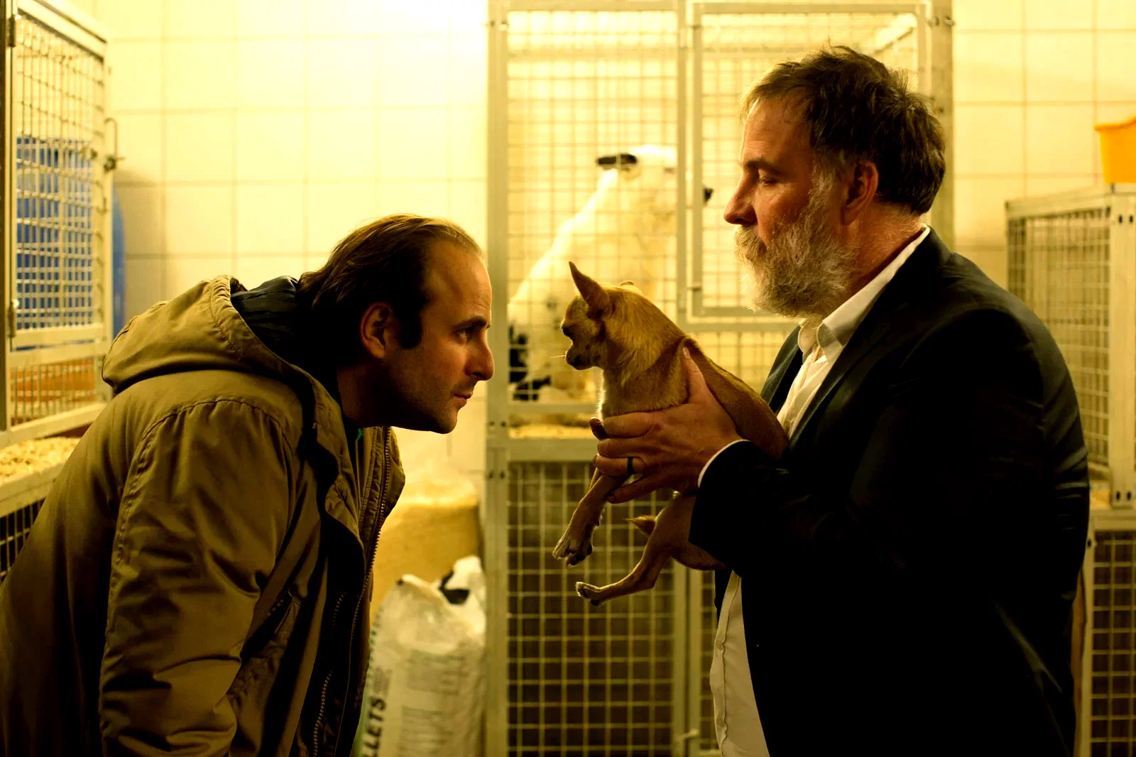 Photo 2 du film : Chien